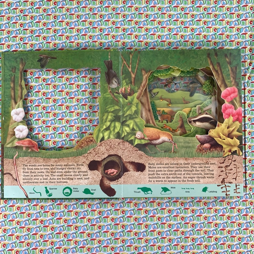 Animal Information Interactive Learning Book Set. - Picture 9 of 16